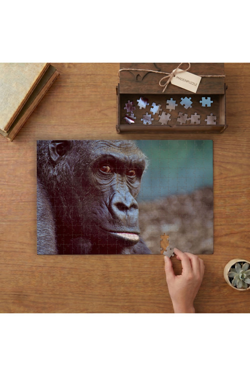 Gorilla- Hayvan Tasarımı 240 parça Ahşap Puzzle Ahşap Kutuda MP00057