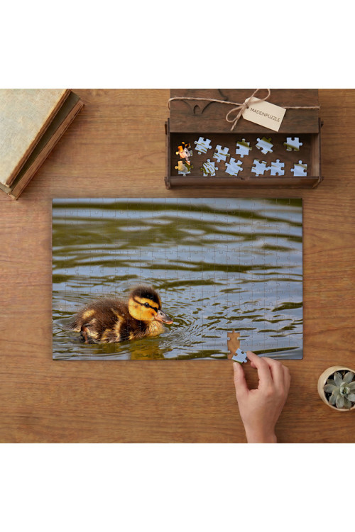 Gölde Yüzen Civciv Ördek Tasarımı 240 parça Ahşap Puzzle Ahşap Kutuda MP05463