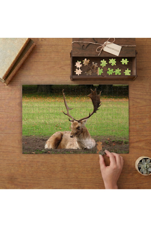 Güzel Alageyik Tasarımı 240 Parça Ahşap Puzzle Ahşap Kutuda MPY40293