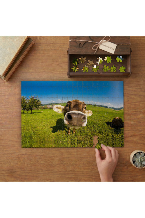 İnek Burnu - Yakın Çekim Tasarımı 240 parça Ahşap Puzzle Ahşap Kutuda MP09501