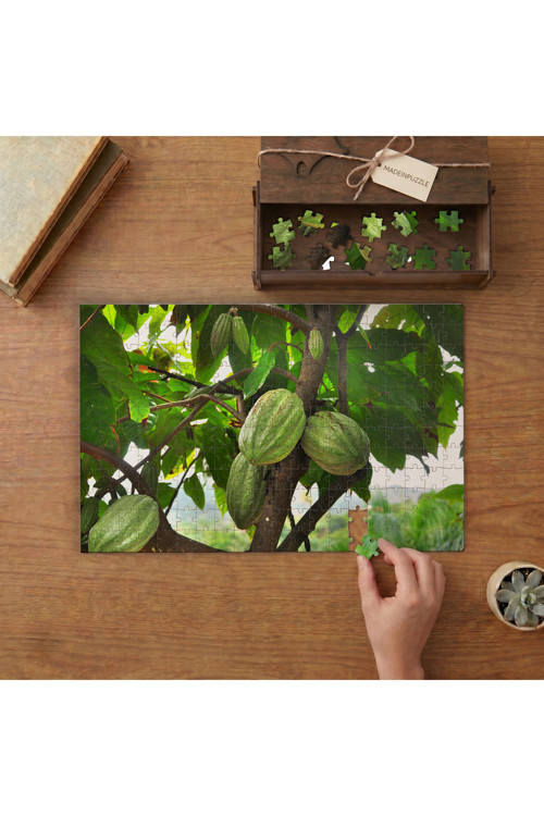 Kakao Meyveleri Tasarımı 240 parça Ahşap Puzzle Ahşap Kutuda MP11329
