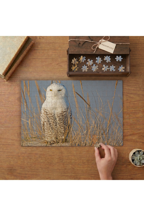 Kar Baykuşu - Beyaz Baykuş Tasarımı 240 Parça Ahşap Puzzle Ahşap Kutuda MPY60236