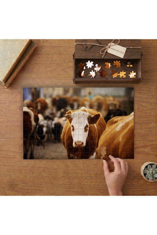 Kahverengi Beyaz İnekler Tasarımı 240 parça Ahşap Puzzle Ahşap Kutuda MP08277