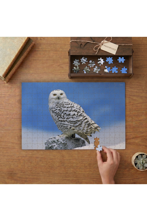 Kar Baykuşu Tasarımı 240 Parça Ahşap Puzzle Ahşap Kutuda MPY60229