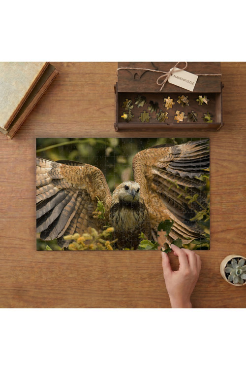 Kanatlarını Açan Atmaca Kuşu Tasarımı 240 Parça Ahşap Puzzle Ahşap Kutuda MPY40451