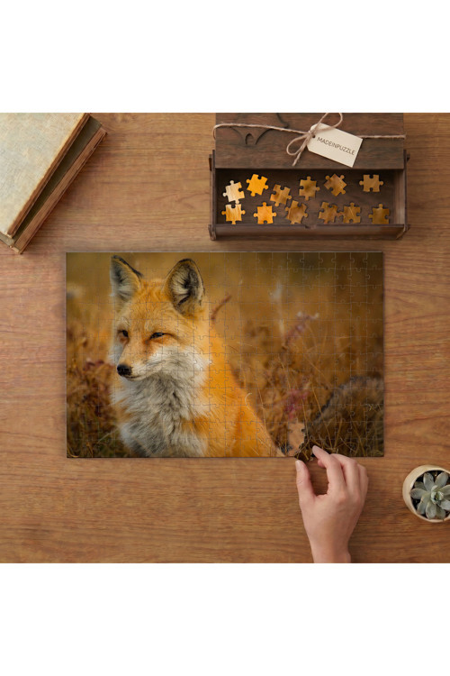 Kahverengi Tilki Tasarımı 240 parça Ahşap Puzzle Ahşap Kutuda MP05711