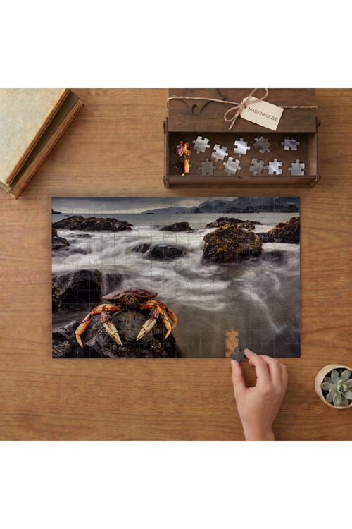 Kayalıklarda Kırmızı Yengeç Tasarımı 240 Parça Ahşap Puzzle Ahşap Kutuda MPY40046