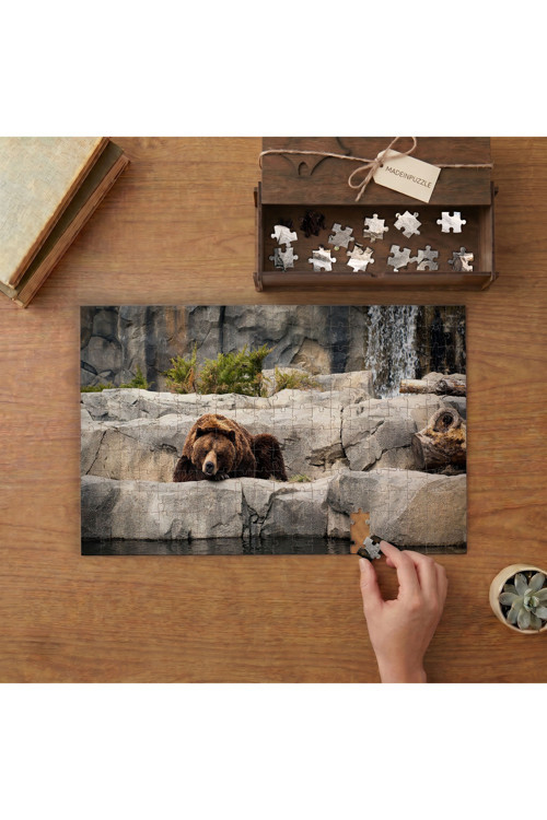 Kayalıklarda Yatan Boz Ayı Tasarımı 240 Parça Ahşap Puzzle Ahşap Kutuda MPY40430