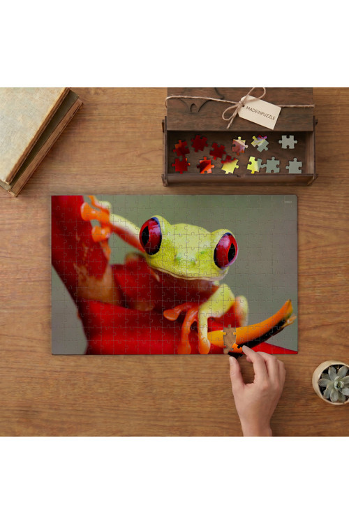 Kırmızı Gözlü Ağaç Kurbağası Tasarımı 240 Parça Ahşap Puzzle Ahşap Kutuda MPY60031