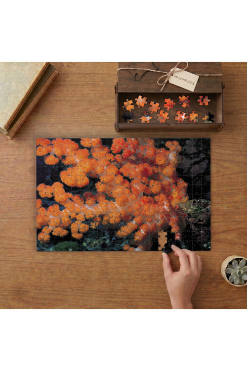 Kırmızı Mercan Denizaltı Canlıları Tasarımı 240 parça Ahşap Puzzle Ahşap Kutuda MP00095