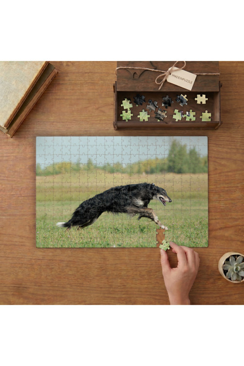Koşan Rus Borzoy Cinsi Köpek Tasarımı 240 parça Ahşap Puzzle Ahşap Kutuda MP01094