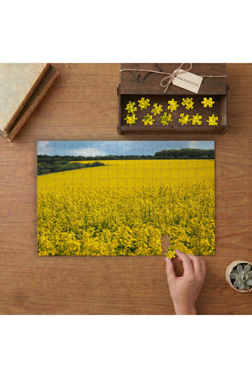 Kolza Bitkisi Tarlası Tasarımı 240 parça Ahşap Puzzle Ahşap Kutuda MP03660