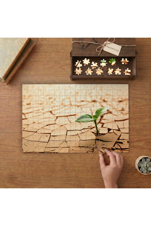 Kurak Toprakta Bitki Tasarımı 240 parça Ahşap Puzzle Ahşap Kutuda MP09005