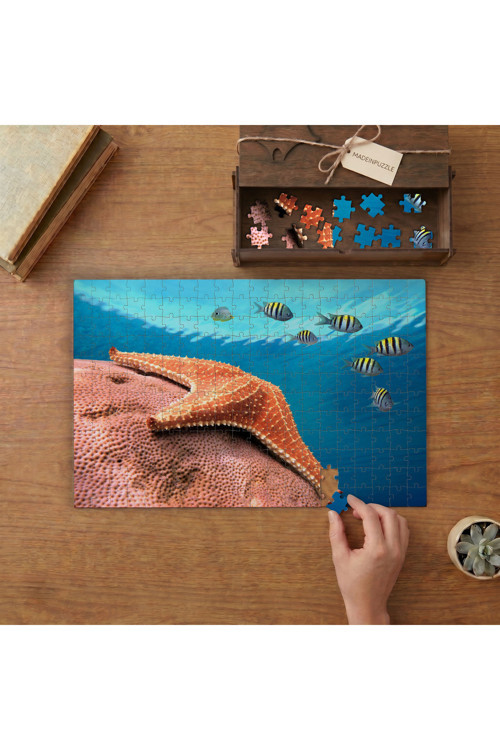 Mercan Resifi - Deniz Yıldızı ve Çizgili Balıklar Tasarımı 240 parça Ahşap Puzzle Ahşap Kutuda MP09260
