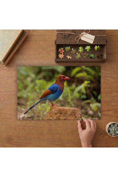 Mavi Saksağan- Güzel Kuş Tasarımı 240 Parça Ahşap Puzzle Ahşap Kutuda MPY60310