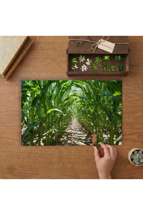 Mısır Tarlası Tasarımı 240 parça Ahşap Puzzle Ahşap Kutuda MP08151