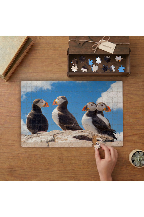 Puffin - Yabani Kuşlar Tasarımı 240 parça Ahşap Puzzle Ahşap Kutuda MP01962