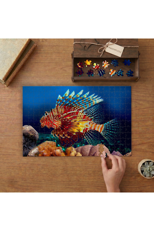 Renkli Aslan Balığı Tasarımı 240 parça Ahşap Puzzle Ahşap Kutuda MP08322