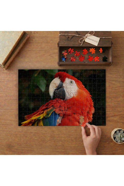 Renkli Kızıl Ara Papağanı Tasarımı 240 Parça Ahşap Puzzle Ahşap Kutuda MPY60108