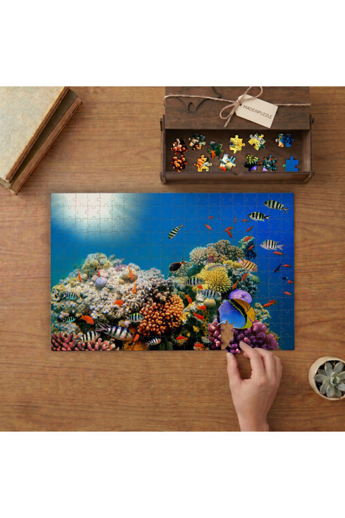 Rengarenk Balıklar Tasarımı 240 parça Ahşap Puzzle Ahşap Kutuda MP02743