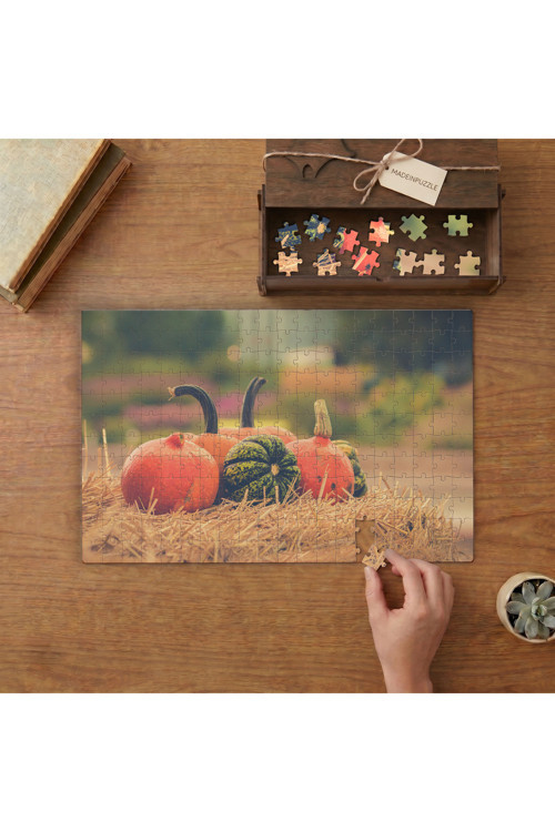 Renkli Balkabakları Tasarımı 240 parça Ahşap Puzzle Ahşap Kutuda MP05094