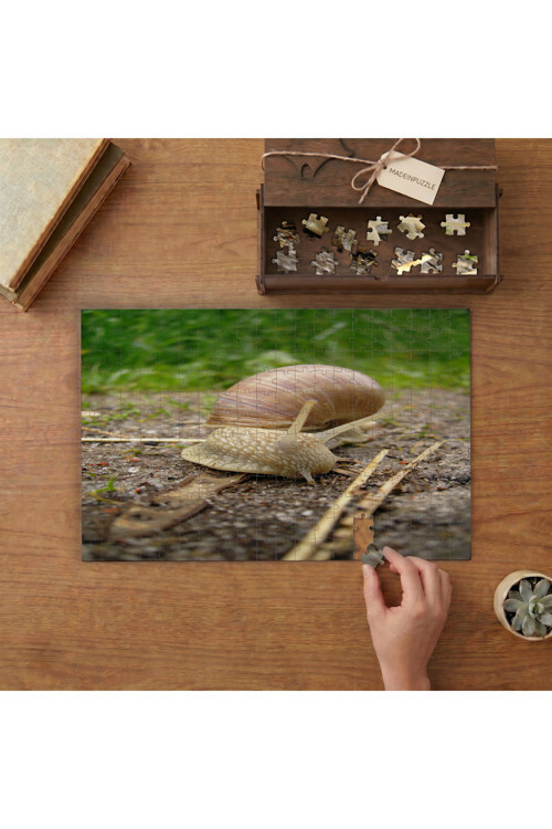 Salyangoz - Doğa - Sürüngenler Tasarımı 240 parça Ahşap Puzzle Ahşap Kutuda MP03327