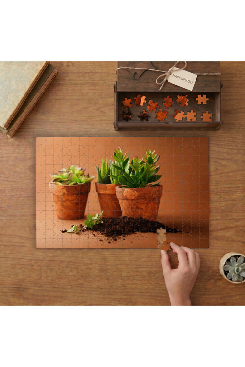 Saksıda Kaktüs Çiçekleri Tasarımı 240 parça Ahşap Puzzle Ahşap Kutuda MP10027