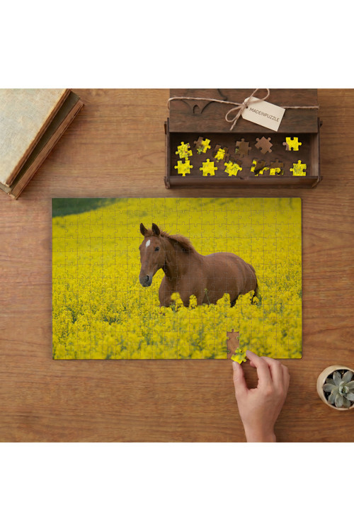 Sarı Kır Çiçeklerinin Arasında Kahverengi At Tasarımı 240 parça Ahşap Puzzle Ahşap Kutuda MP10625