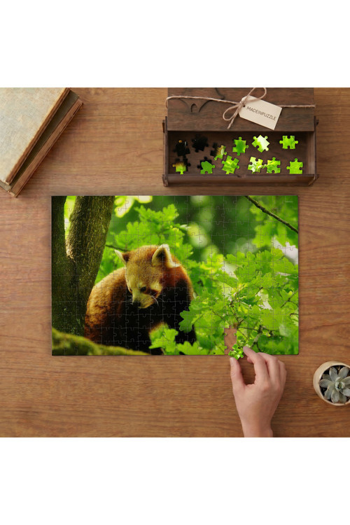 Sevimli Kızıl Panda Yavrusu Tasarımı 240 Parça Ahşap Puzzle Ahşap Kutuda MPY60054