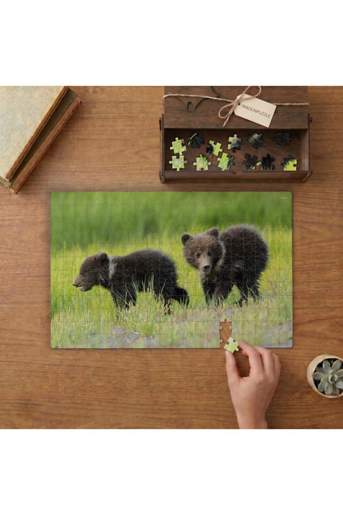 Sevimli Boz Ayı Yavruları Tasarımı 240 Parça Ahşap Puzzle Ahşap Kutuda MPY60093