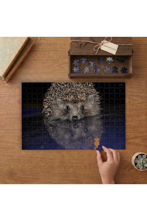 Sevimli Kirpi Tasarımı 240 Parça Ahşap Puzzle Ahşap Kutuda MPY40453
