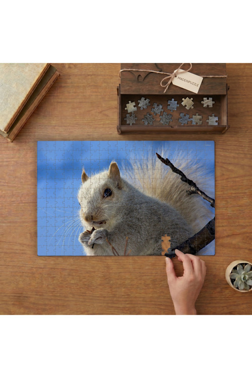 Sevimli Boz Sincap Tasarımı 240 Parça Ahşap Puzzle Ahşap Kutuda MPY60284