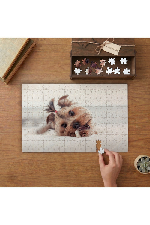 Sevimli Köpek Terrier Tasarımı 240 parça Ahşap Puzzle Ahşap Kutuda MP00202