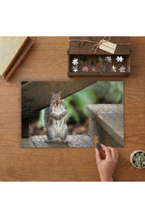 Sevimli Sincap Tasarımı 240 Parça Ahşap Puzzle Ahşap Kutuda MPY40082