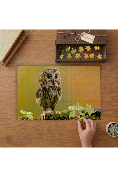 Sevimli Yavru Baykuş Tasarımı 240 Parça Ahşap Puzzle Ahşap Kutuda MPY40101