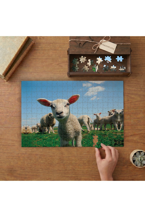 Sevimli Kuzular Tasarımı 240 parça Ahşap Puzzle Ahşap Kutuda MP10744