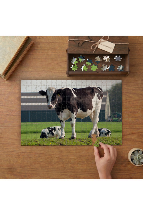 Siyah Beyaz İnekler Tasarımı 240 parça Ahşap Puzzle Ahşap Kutuda MP07980