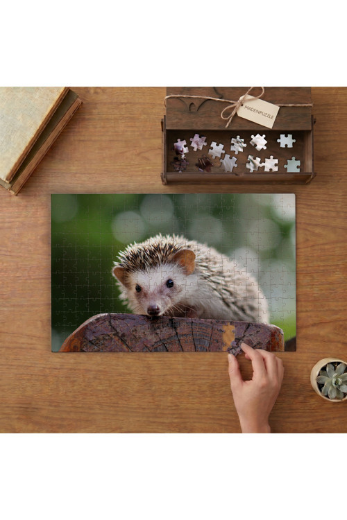 Sevimli Yavru Kirpi Tasarımı 240 parça Ahşap Puzzle Ahşap Kutuda MP07879