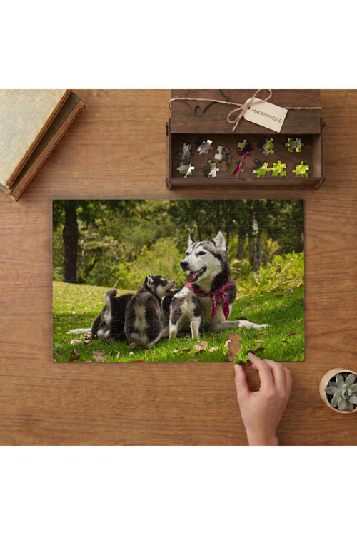 Sibirya Kurdu ve Yavruları Tasarımı 240 parça Ahşap Puzzle Ahşap Kutuda MP08786