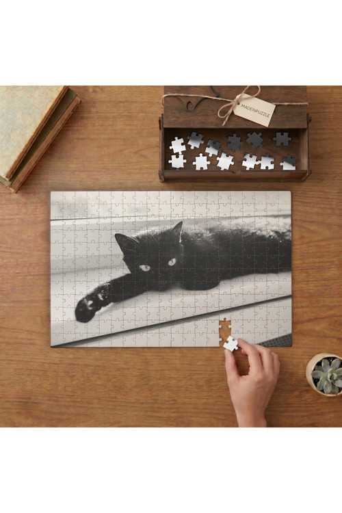Siyah Kedi Tasarımı 240 parça Ahşap Puzzle Ahşap Kutuda MP03129