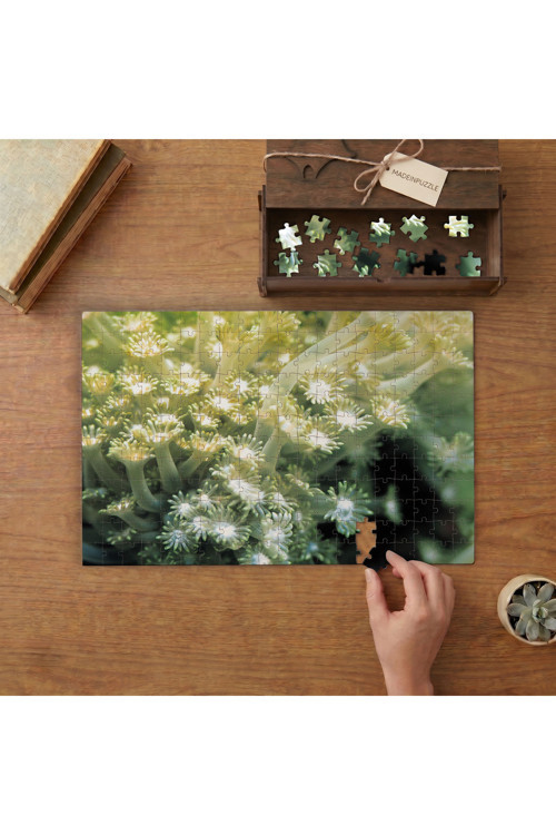 Sualtı Canlıları - Mercan- Zehirli Bitkiler Tasarımı 240 parça Ahşap Puzzle Ahşap Kutuda MP00260