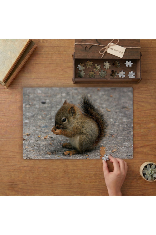 Sevimli Yavru Sincap Tasarımı 240 Parça Ahşap Puzzle Ahşap Kutuda MPY60279