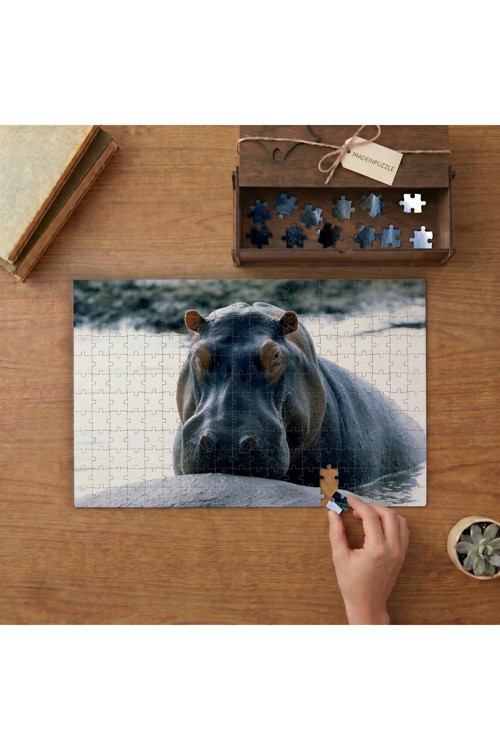 Suaygırı Tasarımı 240 parça Ahşap Puzzle Ahşap Kutuda MP04999