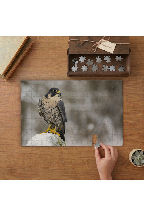 Şahin - Keskin Bakışlı Avcı Kuş Tasarımı 240 Parça Ahşap Puzzle Ahşap Kutuda MPY40291