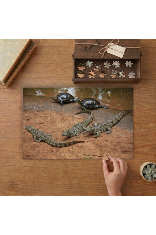 Timsahlar ve Kaplumbağalar Tasarımı 240 Parça Ahşap Puzzle Ahşap Kutuda MPY40071