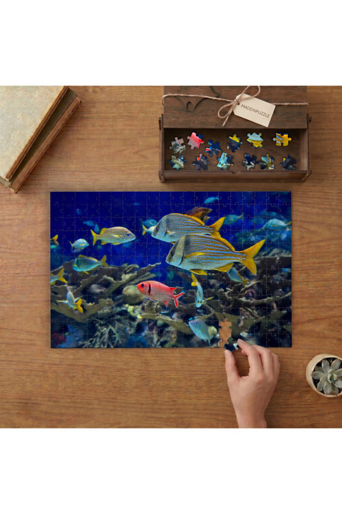 Tropikal Balıklar Sualtı Canlıları Tasarımı 240 parça Ahşap Puzzle Ahşap Kutuda MP01032