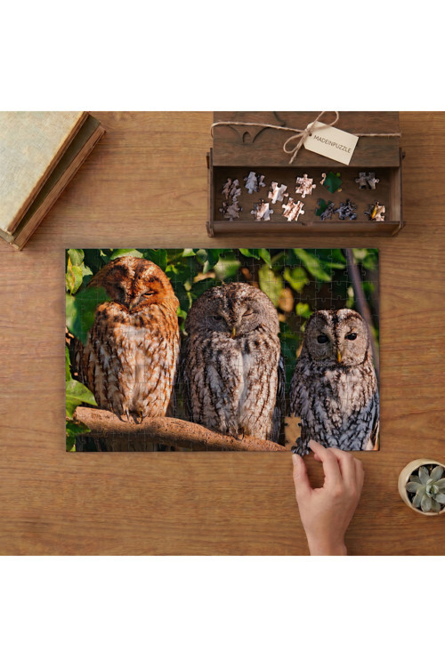 Uyuyan Baykuşlar Tasarımı 240 Parça Ahşap Puzzle Ahşap Kutuda MPY50318