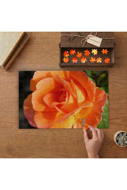 Turuncu Büyük Gül Tasarımı 240 parça Ahşap Puzzle Ahşap Kutuda MP00240