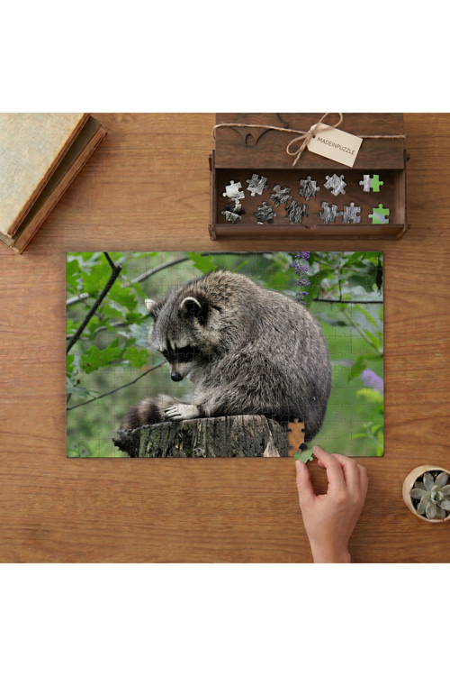 Uyuyan Rakun Tasarımı 240 Parça Ahşap Puzzle Ahşap Kutuda MPY60021