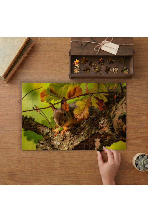 Yaprakların Arasından Bakan Sincap Tasarımı 240 Parça Ahşap Puzzle Ahşap Kutuda MPY60304